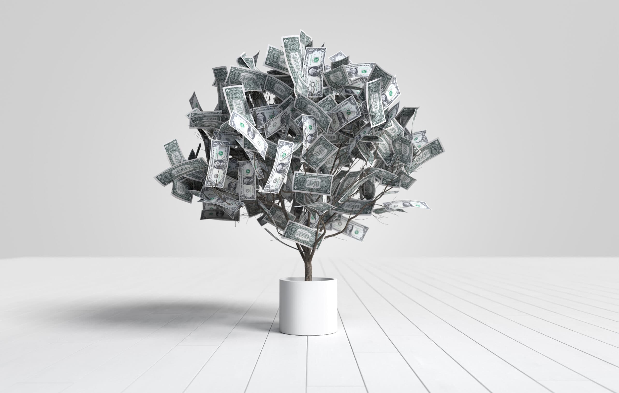 dollar-banknotes-tree-growing-white-pot-scaled